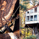 Illustration for article titled 13 Ingenious Treehouses That Go Out on a Limb